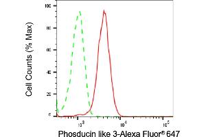 Flow cytometric analysis of Phosducin like 3 expression in HeLa cells using Phosducin like 3 antibody (ABIN7799787), 1:1,000). (PDCL3 Antikörper)