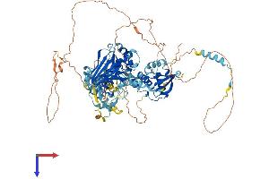 PMS2 Protein (AA 1-859) (His tag)