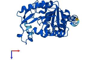 GNPDA2 Protein (AA 1-276) (His tag)