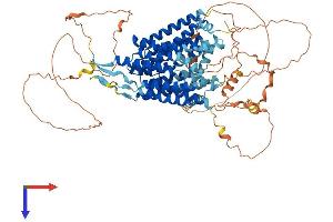 MFSD6 Protein (AA 1-775) (His tag)