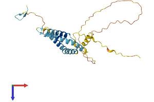 OCIAD1 Protein (AA 1-245) (His tag)