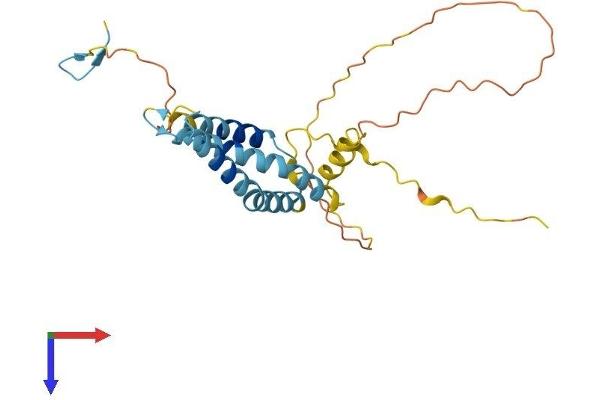 OCIAD1 Protein (AA 1-245) (His tag)