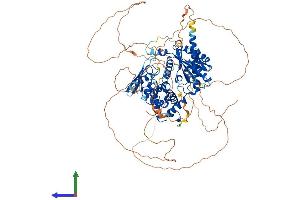 Protein Structure (PS) image for Interleukin enhancer-binding factor 3 (ILF3) (AA 1-894) protein (His tag) (ABIN7554167)