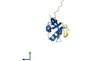 Protein Structure (PS) image for Processing of Precursor 7, Ribonuclease P/MRP Subunit (POP7) (AA 1-140) protein (His tag) (ABIN7561335)