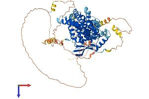 TCF25 Protein (AA 1-676) (His tag)