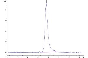 The purity of Biotinylated Human LILRA2 is greater than 95 % as determined by SEC-HPLC.