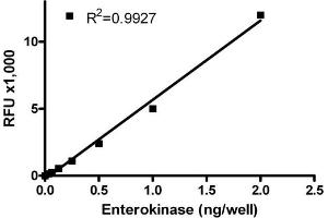 ELISA image for SensoLyte® Rh110 Enterokinase Assay Kit (ABIN1882457)