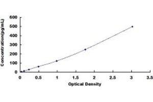 FGF10 ELISA Kit