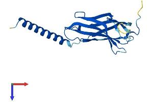 SPCS3 Protein (AA 1-180) (His tag)