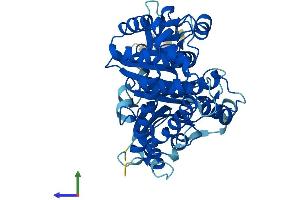 Protein Structure (PS) image for Tubulin, alpha-Like 3 (TUBAL3) (AA 1-446) protein (His tag) (ABIN7544353)