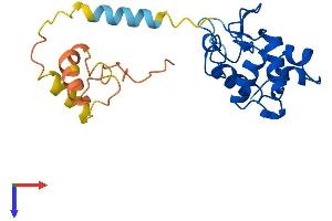 SPACA3 Protein (AA 1-221) (His tag)