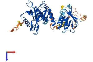 SUFUH Protein (AA 1-484) (His tag)