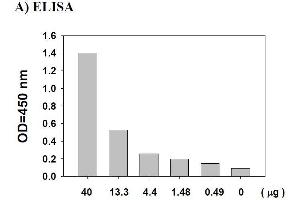 AKT1 ELISA Kit