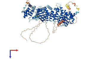 SMEK1 Protein (AA 1-820) (His tag)