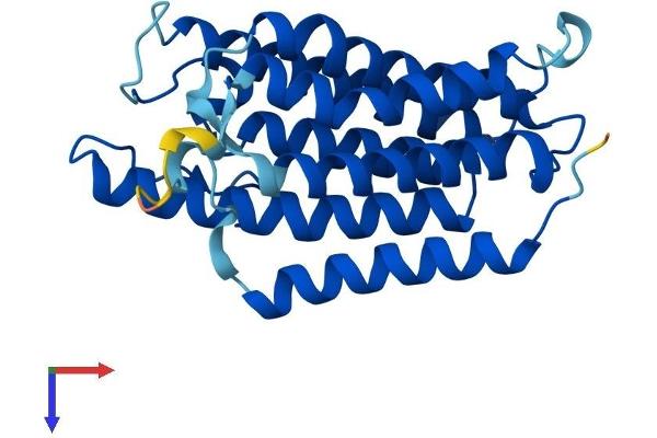 SRD5A2 Protein (AA 1-254) (His tag)