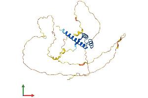 Protein Structure (PS) image for Homeobox C10 (HOXC10) (AA 1-342) protein (His tag) (ABIN7563107)