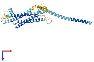 Syntaxin 4 Protein (STX4) (AA 1-298) (His tag)