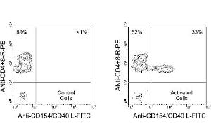 Flow Cytometry (FACS) image for anti-CD40 Ligand (CD40LG) antibody (FITC) (ABIN370946) (CD40 Ligand Antikörper  (FITC))