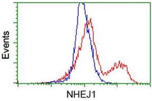 HEK293T cells transfected with either RC203393 overexpress plasmid (Red) or empty vector control plasmid (Blue) were immunostained by anti-NHEJ1 antibody (ABIN2453928), and then analyzed by flow cytometry. (NHEJ1 Antikörper)