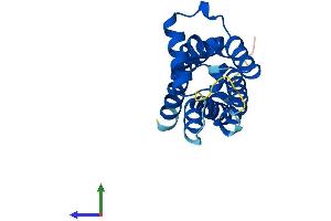 Protein Structure (PS) image for Transmembrane Protein 97 (TMEM97) (AA 1-176) protein (His tag) (ABIN7559844)