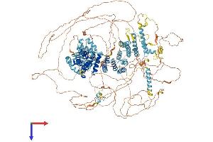 EIF4G1 Protein (AA 1-1600) (His tag)