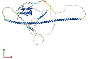 Protein Structure (PS) image for Enabled Homolog (ENAH) (AA 1-591) protein (His tag) (ABIN7547324)