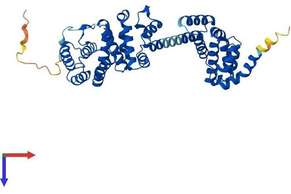 BZW2 Protein (AA 1-419) (His tag)
