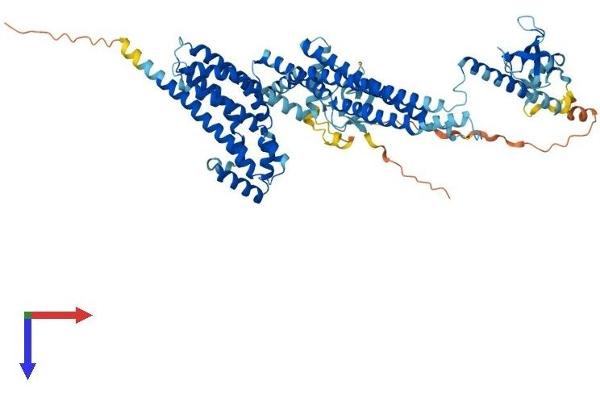ARHGEF37 Protein (AA 1-675) (His tag)