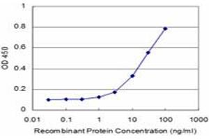 Detection limit for recombinant GST tagged PRDM1 is approximately 1ng/ml as a capture antibody. (PRDM1 Antikörper  (AA 1-109))