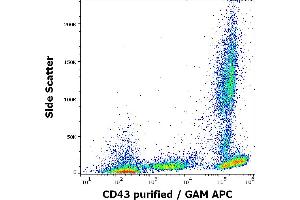 Flow cytometry surface staining pattern of human peripheral blood stained using anti-human CD43 (MEM-59) purified antibody (concentration in sample 2 μg/mL, GAM APC). (CD43 Antikörper)