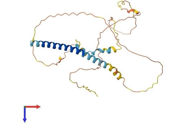 PRR7 Protein (AA 1-274) (His tag)