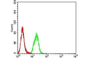 Flow cytometric analysis of Hela cells using SYK mouse mAb (green) and negative control (red). (SYK Antikörper  (AA 217-356))