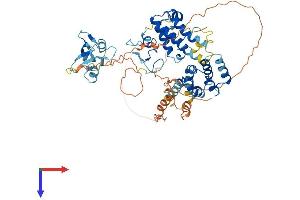 AlphaFold protein structure predicition of Human Recombinant SP140L Protein, UniprotID Q9H930