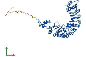 Protein Structure (PS) image for F-Box and Leucine-Rich Repeat Protein 3 (FBXL3) (AA 1-428) protein (His tag) (ABIN7559140)