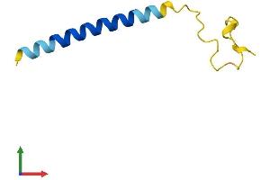 AlphaFold protein structure predicition of Human Recombinant TTTY10 Protein, UniprotID Q9BZA0