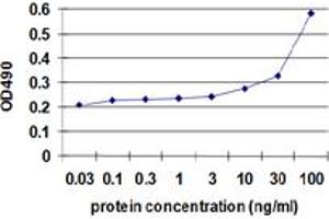 ENO1 (Human) Matched Antibody Pair