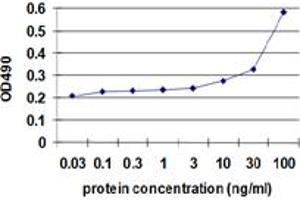 Sandwich ELISA detection sensitivity ranging from 10 ng/ml to 100 ng/ml. (ENO1 (Human) Matched Antibody Pair)