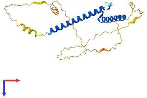 Neurogenin 1 Protein (NEUROG1) (AA 1-237) (His tag)