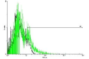 FACS analysis of negative control 293 cells (Black) and F2R expressing 293 cells (Green) using F2R purified MaxPab mouse polyclonal antibody. (PAR1 Antikörper  (AA 1-425))