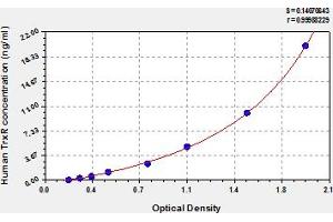 Typical Standard Curve (TXNRD1 ELISA Kit)