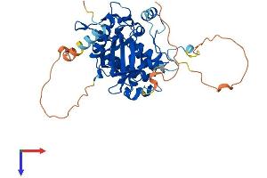 STRADA Protein (AA 1-431) (His tag)