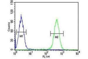 Flow Cytometry (FACS) image for anti-Histone Deacetylase 2 (HDAC2) (AA 410-439) antibody (ABIN3031225)