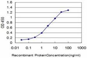 Detection limit for recombinant GST tagged FLT4 is approximately 0. (FLT4 Antikörper  (AA 34-133))