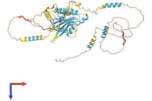 DYNC1LI1 Protein (AA 1-523) (His tag)