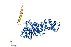 Protein Structure (PS) image for DIM1 Dimethyladenosine Transferase 1 Homolog (DIMT1) (AA 1-313) protein (His tag) (ABIN7547150)