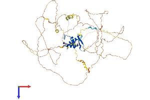 FOXO3 Protein (AA 1-672) (His tag)