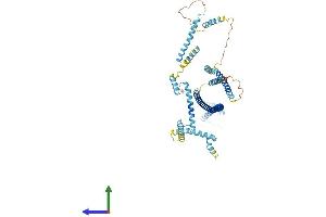 Protein Structure (PS) image for Centrosomal Protein 70kDa (CEP70) (AA 1-597) protein (His tag) (ABIN7553418)