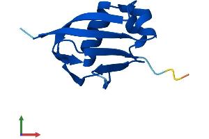 Protein Structure (PS) image for Molybdenum Cofactor Synthesis 2 (MOCS2) (AA 1-88) protein (Fc Tag) (ABIN7556406)