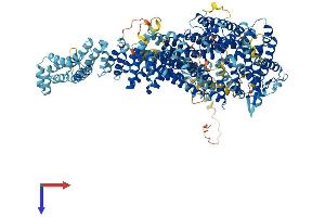 FANCI Protein (AA 1-1330) (His tag)