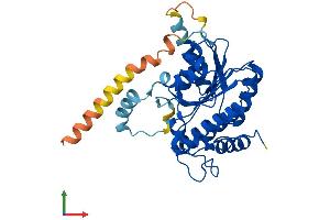 AlphaFold protein structure predicition of Human Recombinant RDH14 Protein, UniprotID Q9HBH5